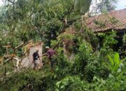 Diterjang Angin Kencang, Kubah Masjid Tumbang dan 4 Rumah di Sukaraja Tasikmalaya Tertimpa Pohon
