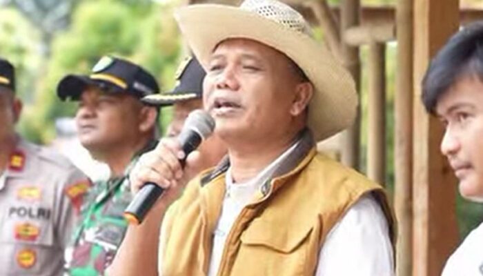 Pulihkan Bekas Galian C, Mahasiswa Gelar Jambore Tanam Pohon di Galunggung: Wabup Asep Sopari Singgung Kredit Karbon