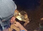 Tertimbun Longsor 10 Menit, Kakek Pekerja Bangunan di Cigalontang Tasikmalaya Selamat