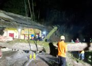 Pohon Tumbang Akibat Angin Kencang, Akses Jalan di Mangunreja Tasikmalaya Sempat Lumpuh