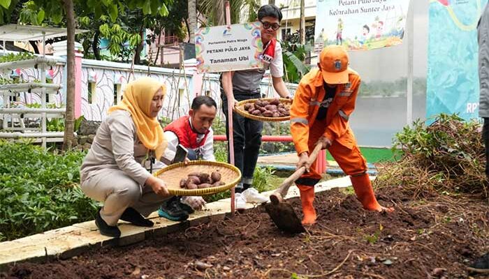 Pertamina Patra Niaga Regional JBB dan Pemprov DKI Jakarta Gelar Panen Raya Serentak di RPTRA Sunter Jaya