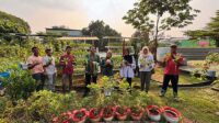 Pertamina-Patra-Niaga-RJBB-Kembangkan-Urban-Farming Pertamina Patra Niaga RJBB Kembangkan Urban Farming