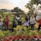 Pertamina-Patra-Niaga-RJBB-Kembangkan-Urban-Farming Pertamina Patra Niaga RJBB Kembangkan Urban Farming