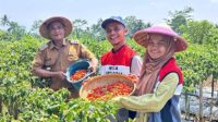 Pertamina Patra Niaga Bersama Generasi Muda