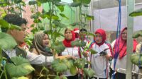 Pertamina
